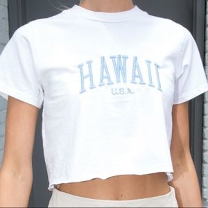 Brandy Melville Cropped Hawaii Top